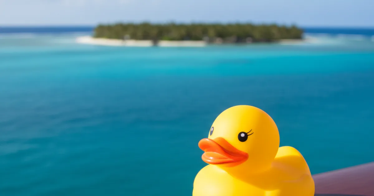 Save Money on Your Next Cruise Ducking Adventure