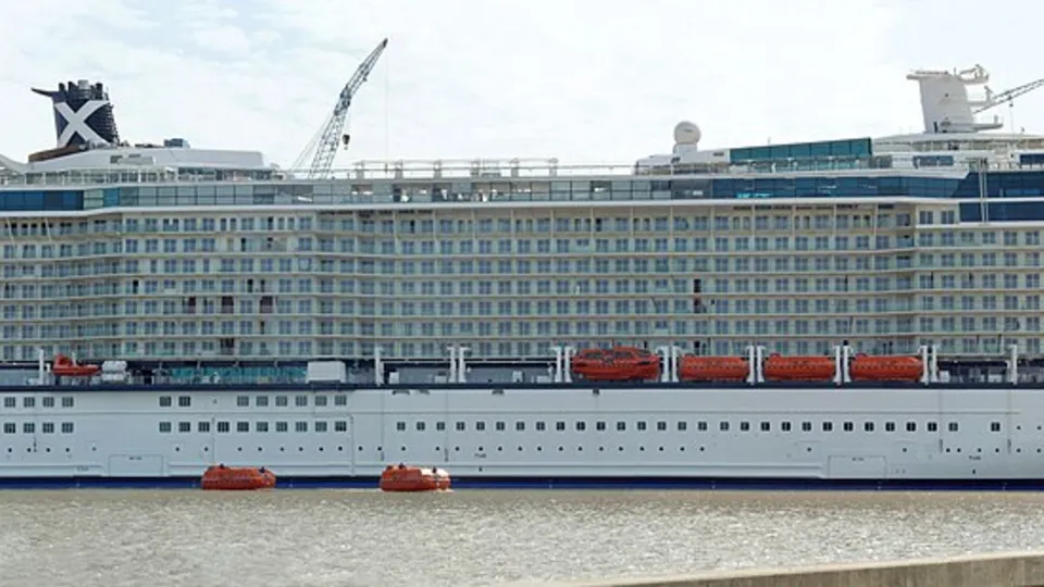 Celebrity Reflection