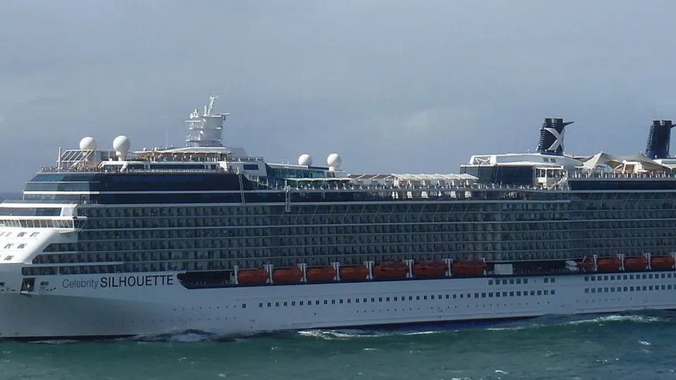 Celebrity Silhouette