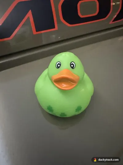 Duck Mojave #1