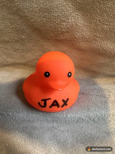 JAX