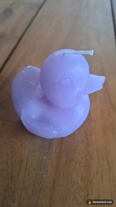 Purple duck candle