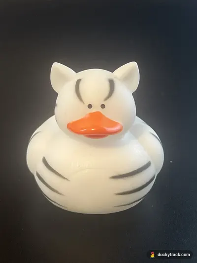 zeebee