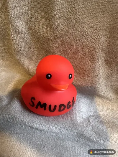 SMUDGE