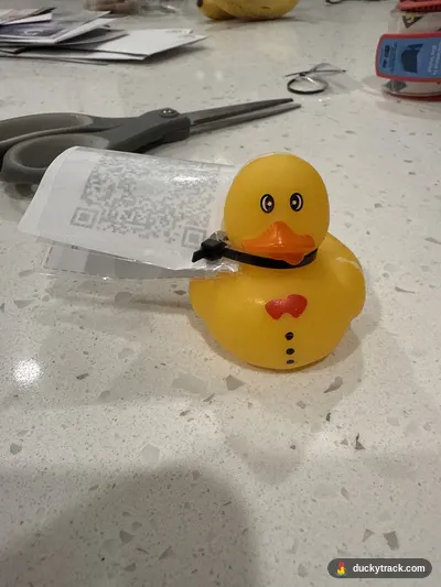 Duck Joey