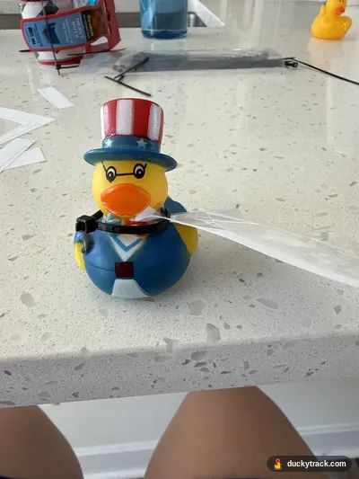 Duck Samule