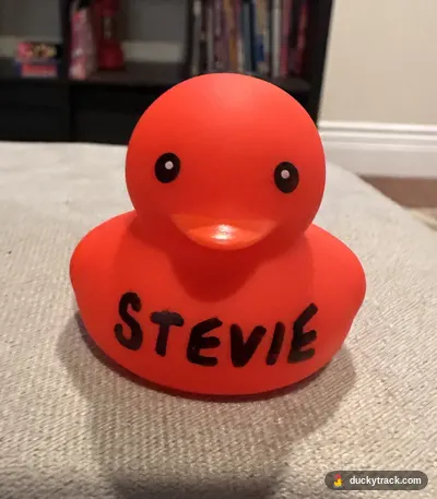 Stevie