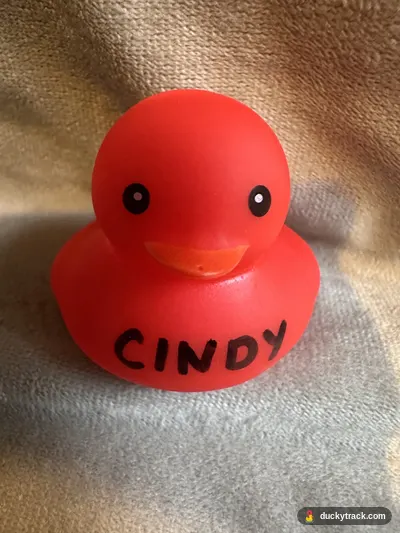 CINDY