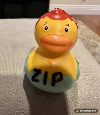 Zip