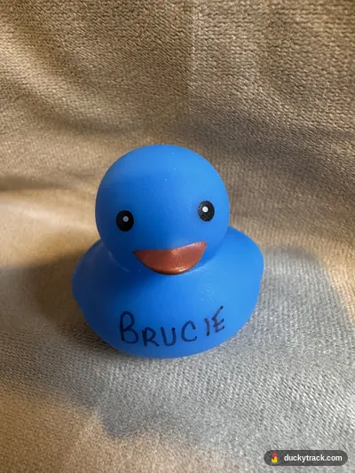 BRUCIE