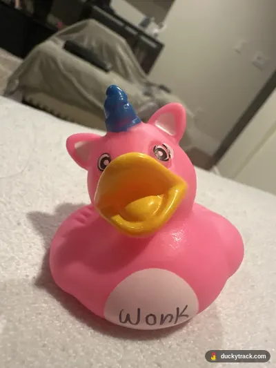 WONK
