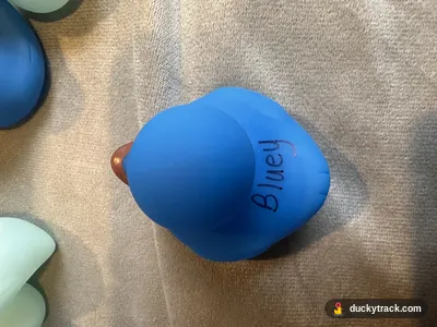 BLUEY
