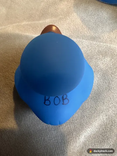 BOB