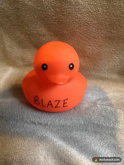 BLAZE