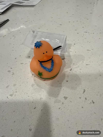 Duck Margaret