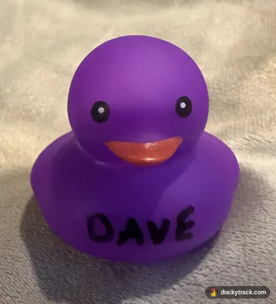 DAVE