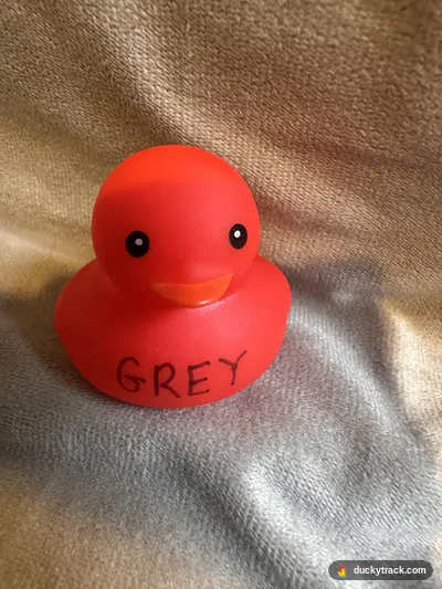 GREY