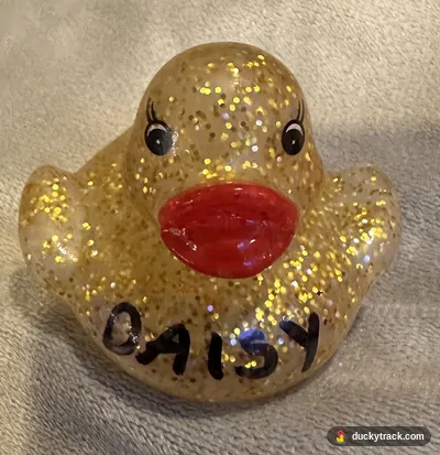 DAISY