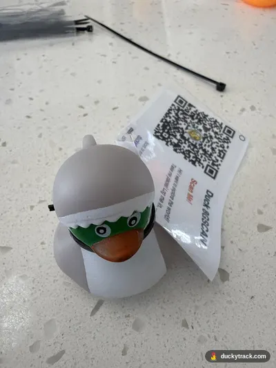 Duck Ian