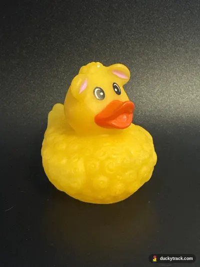 Little Big Bird