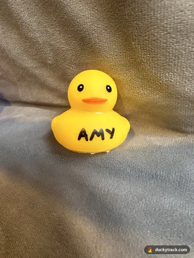 AMY