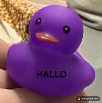 Hallo