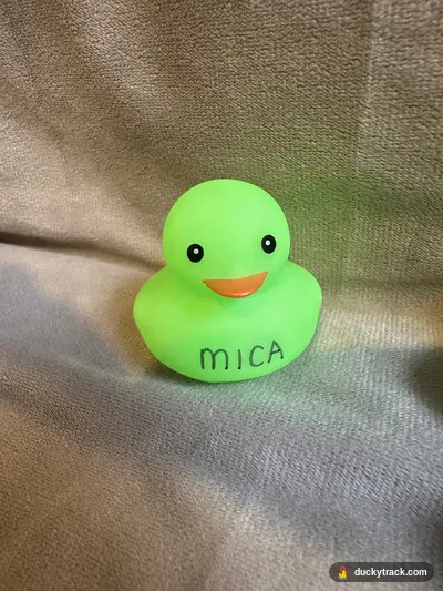 MICA