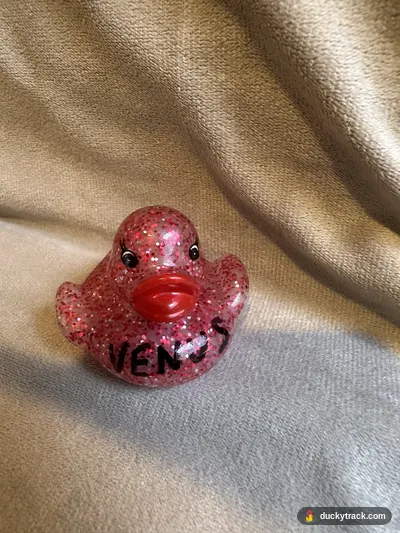 VENUS