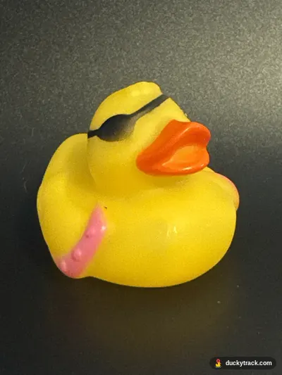 Sir Pirate the Duck