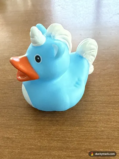 Uni Ducy