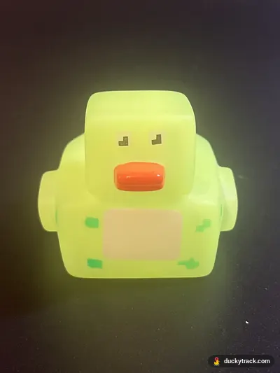 Block Head the Ducky