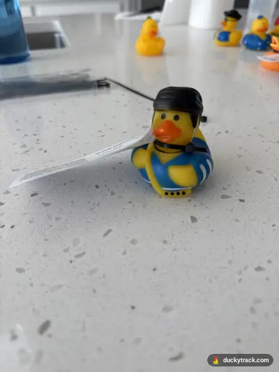 Duck Julia