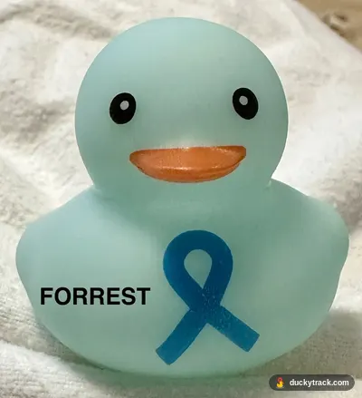 Forrest