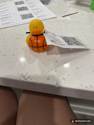Duck cypress