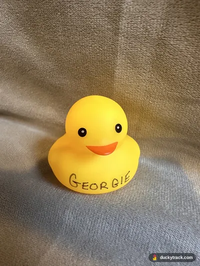 GEORGIE