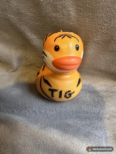 TIG