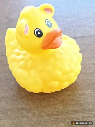 Big Bird Duck