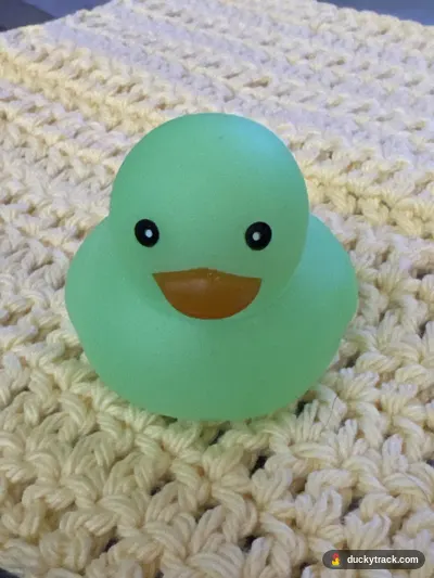 Ducky McDuckface #4858