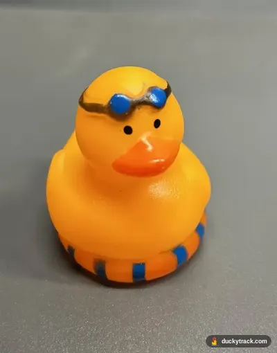 Floaty Duck