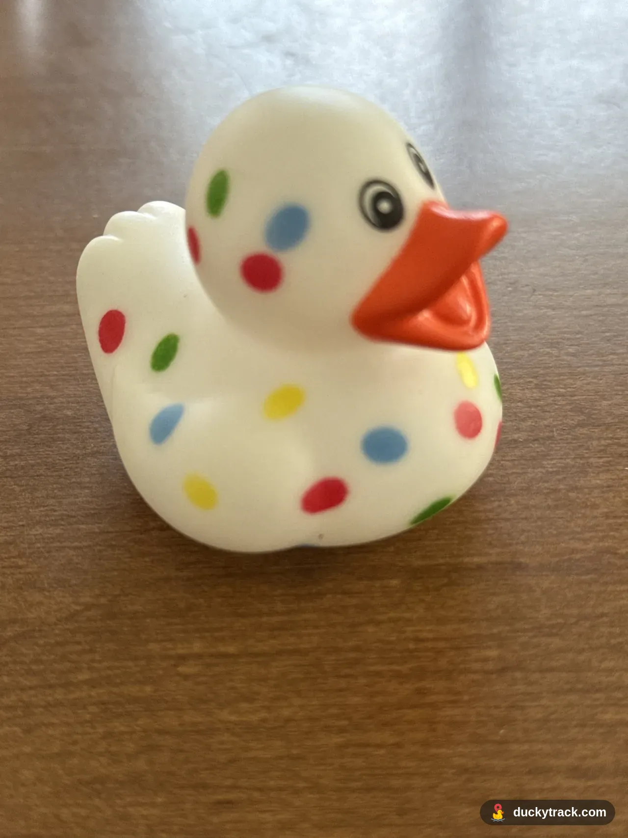Poka Dotty