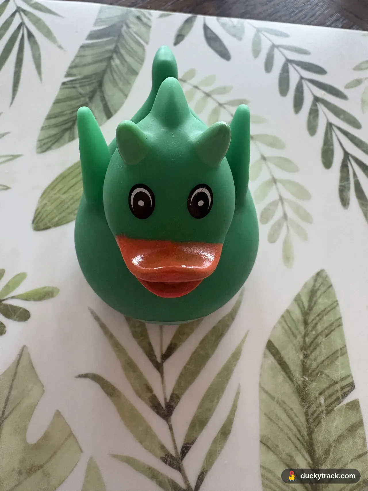 Nessy Ducky