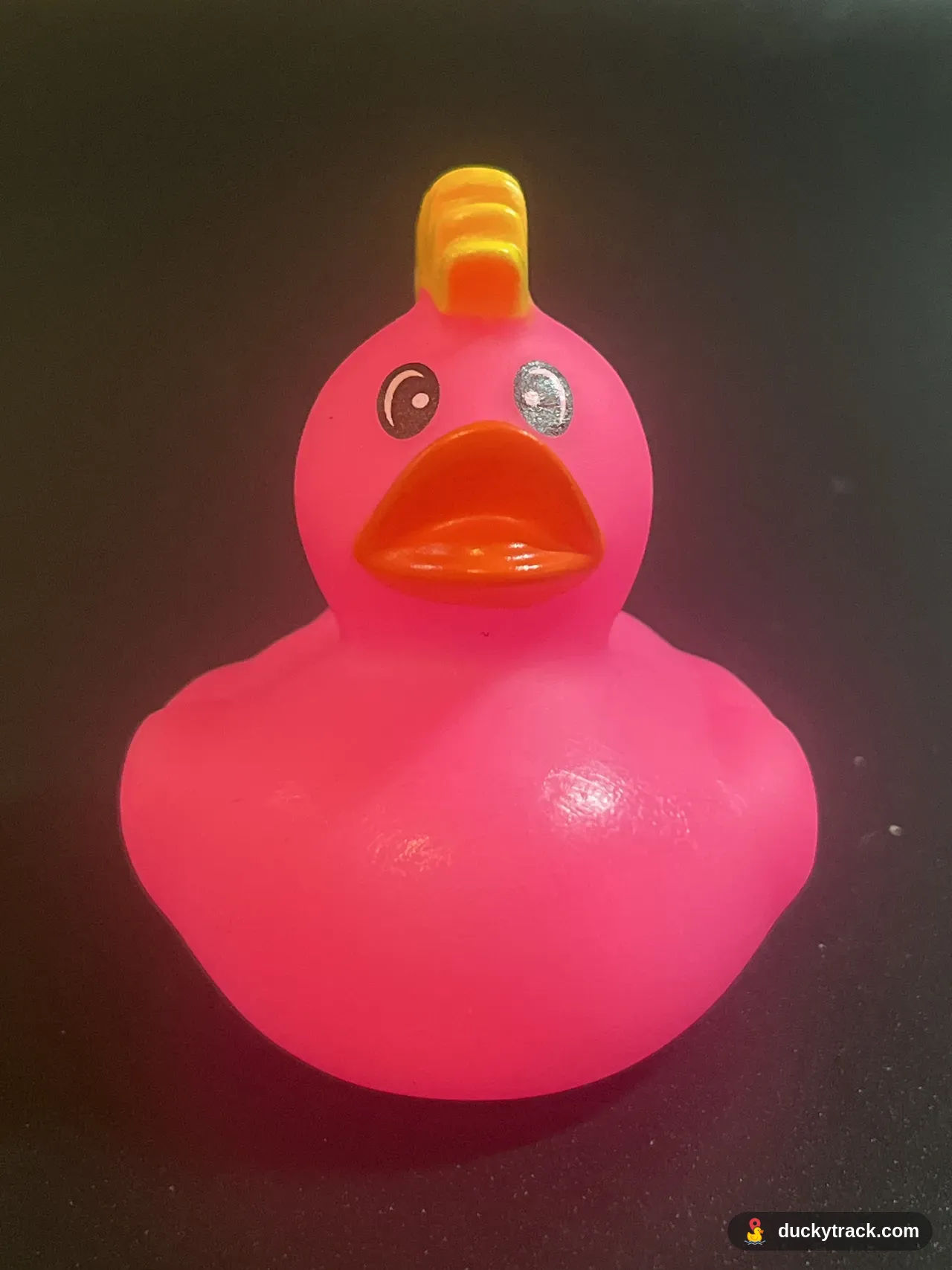 Rock Star Duck