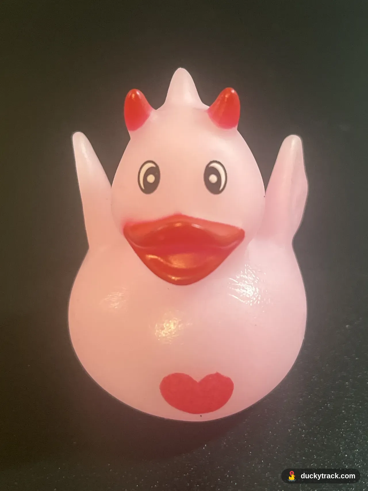 Miss Dragon Duckster