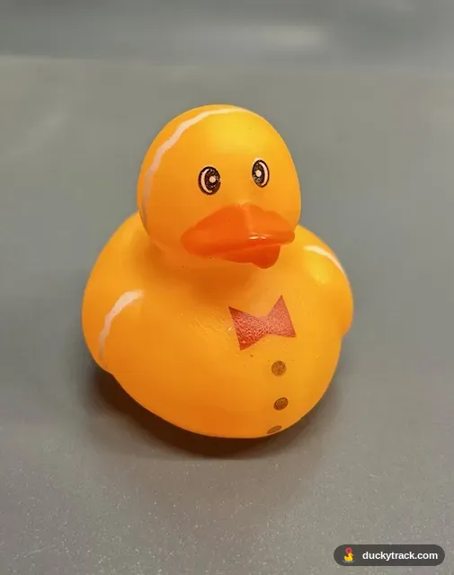 Bow Tie Duck