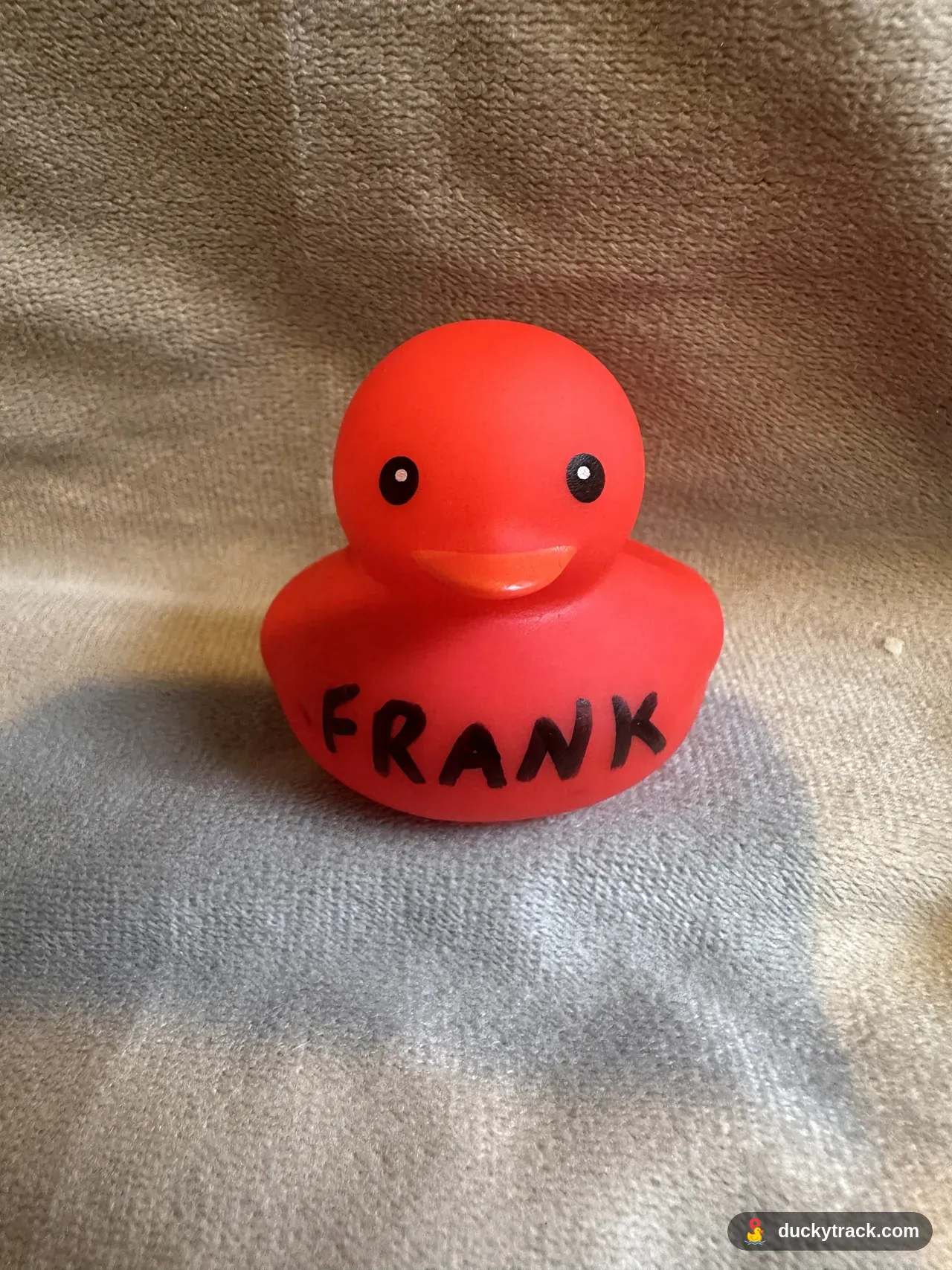 FRANK