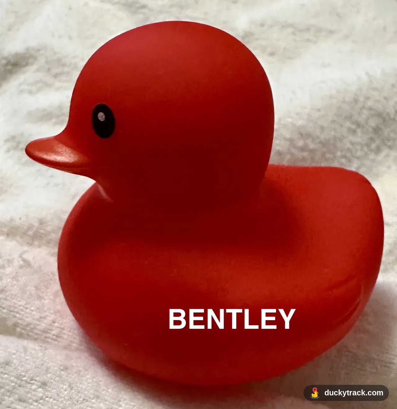 Bentley