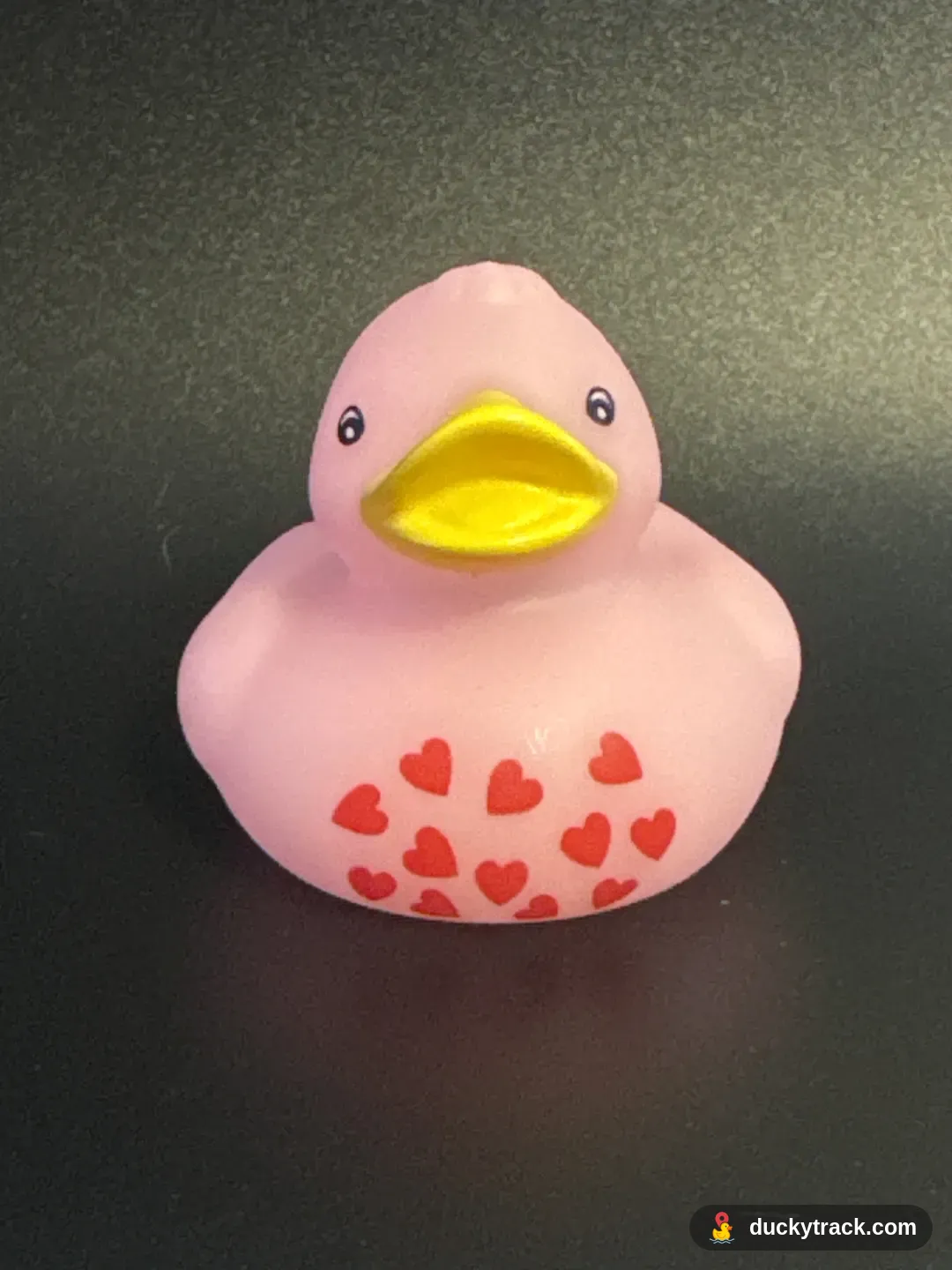 Lady Quacksomuch