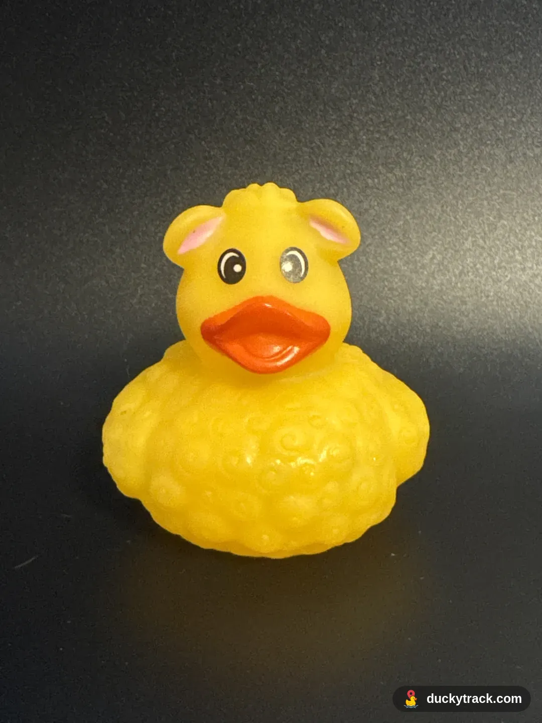 Big Bird Duck