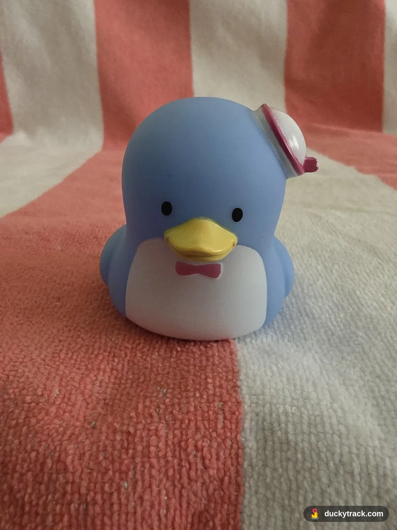 Waddles