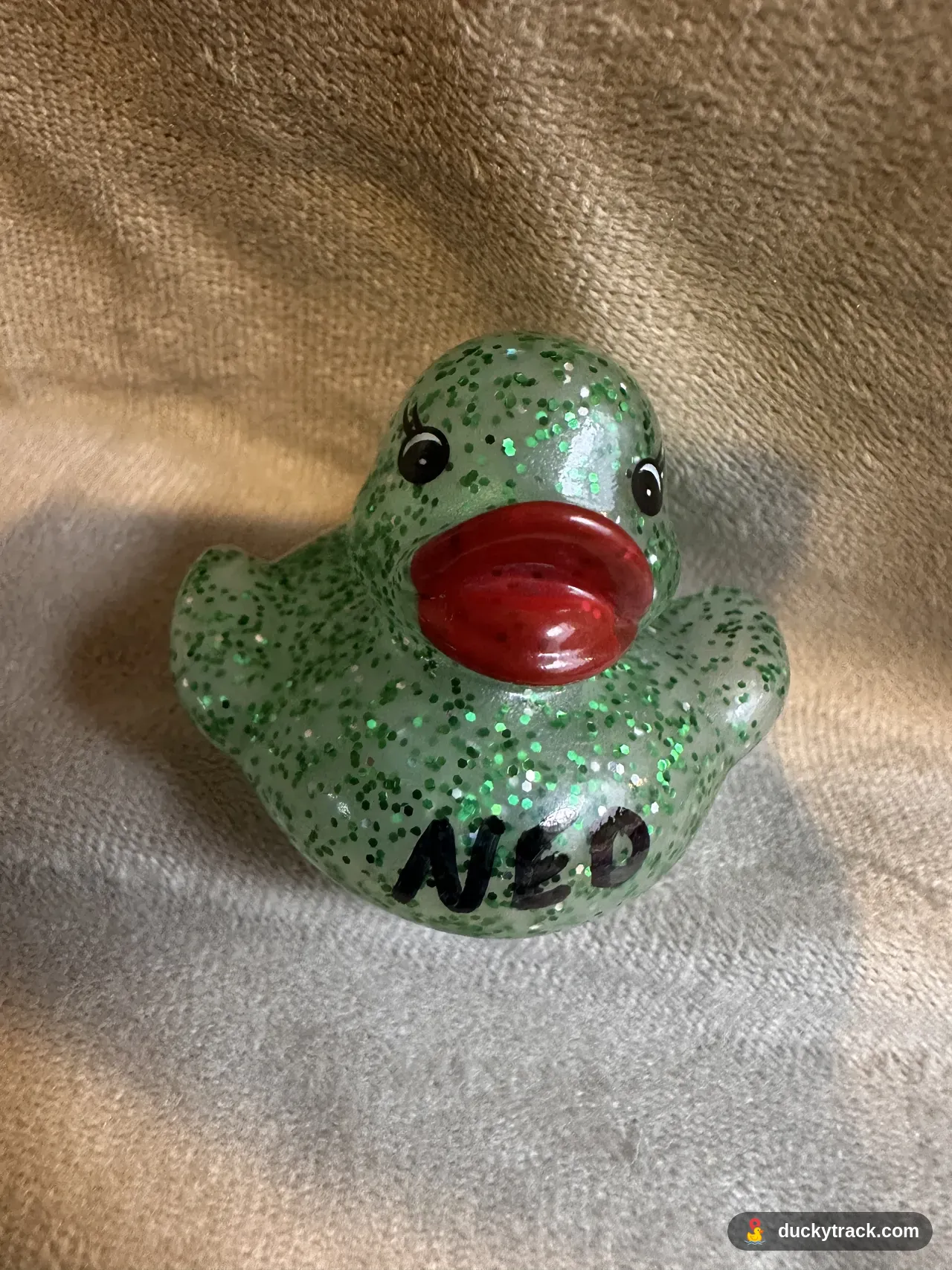 NED